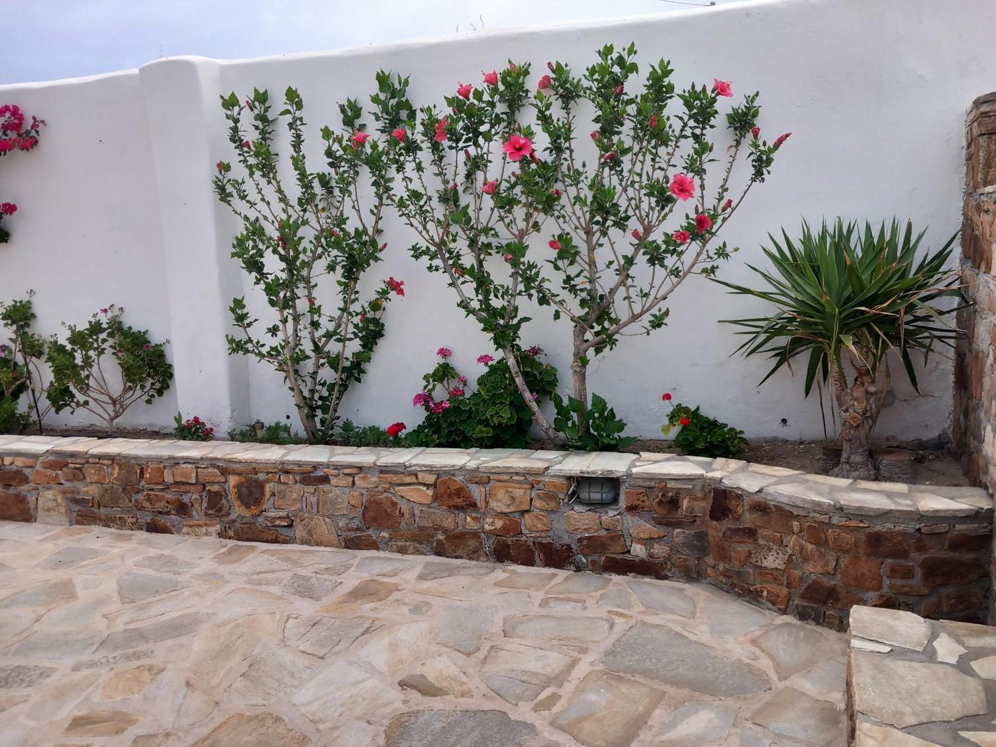 Vaso Studios & Apartment In Naxos Town Naxos City Zewnętrze zdjęcie